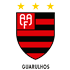 flamengo_sp